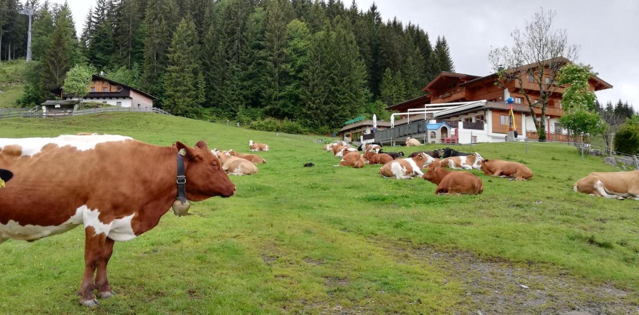 Berghaus Koglmoos Hotel Auffach Ngoại thất bức ảnh