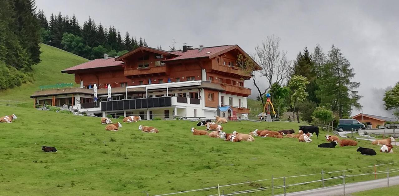 Berghaus Koglmoos Hotel Auffach Ngoại thất bức ảnh