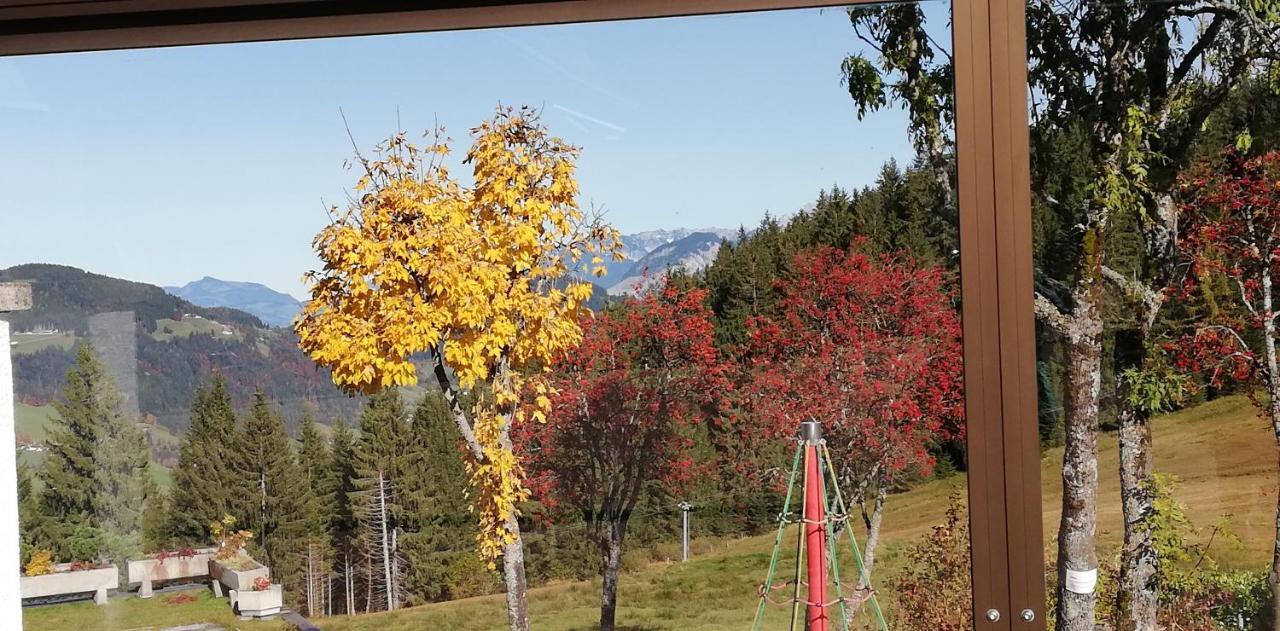 Berghaus Koglmoos Hotel Auffach Ngoại thất bức ảnh