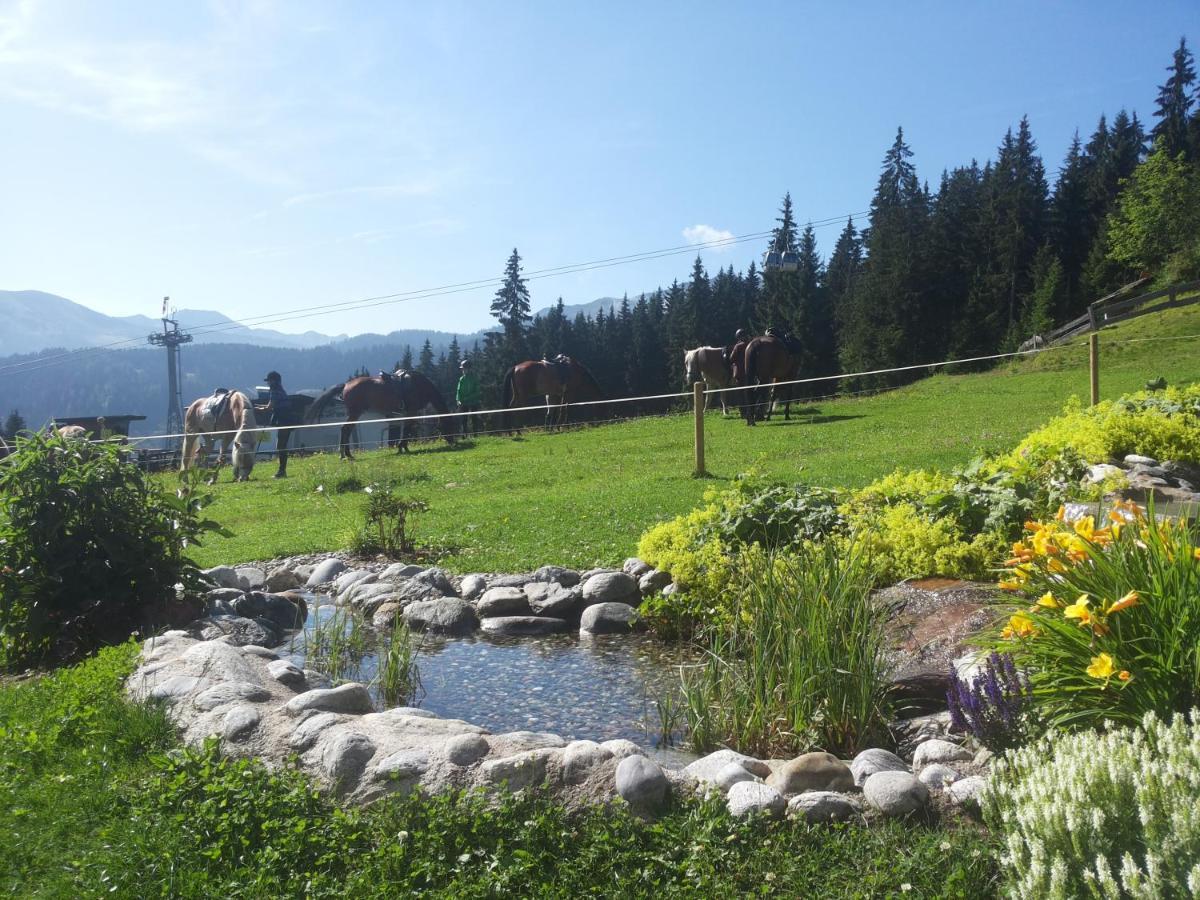 Berghaus Koglmoos Hotel Auffach Ngoại thất bức ảnh
