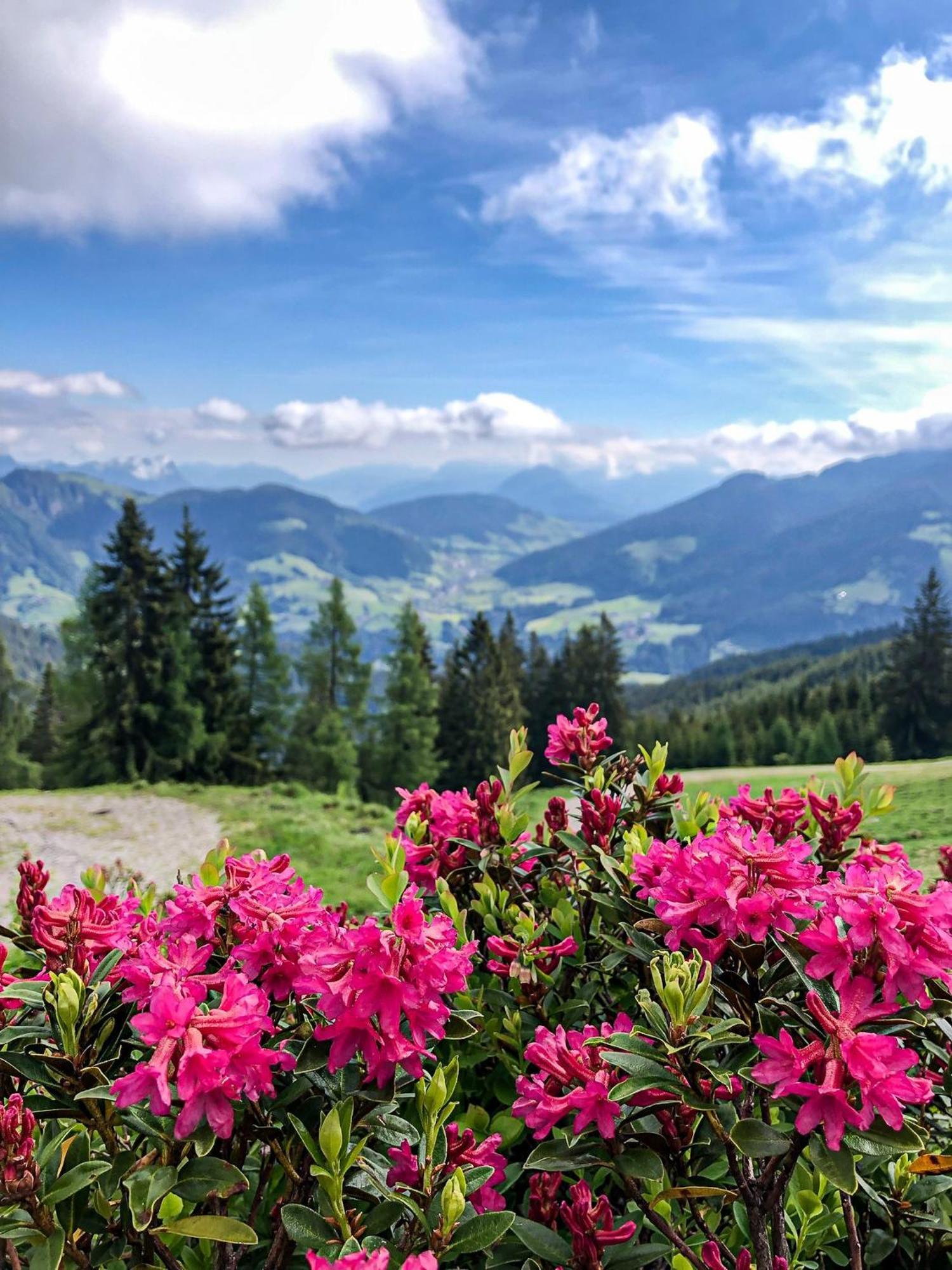 Berghaus Koglmoos Hotel Auffach Ngoại thất bức ảnh