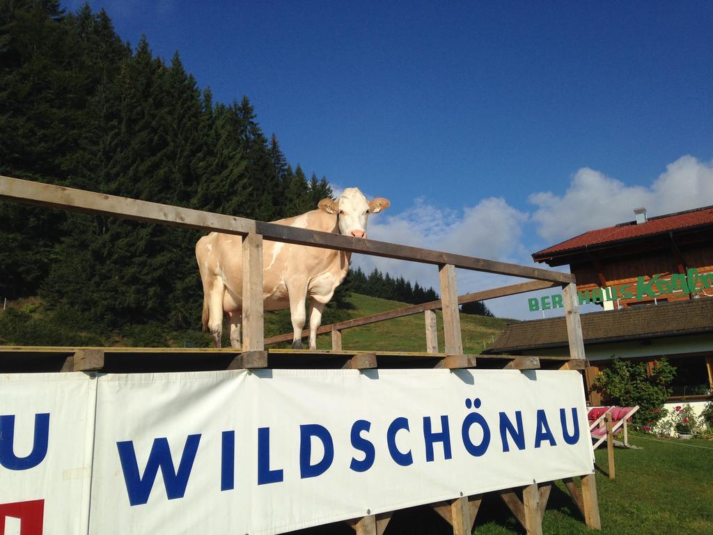 Berghaus Koglmoos Hotel Auffach Ngoại thất bức ảnh